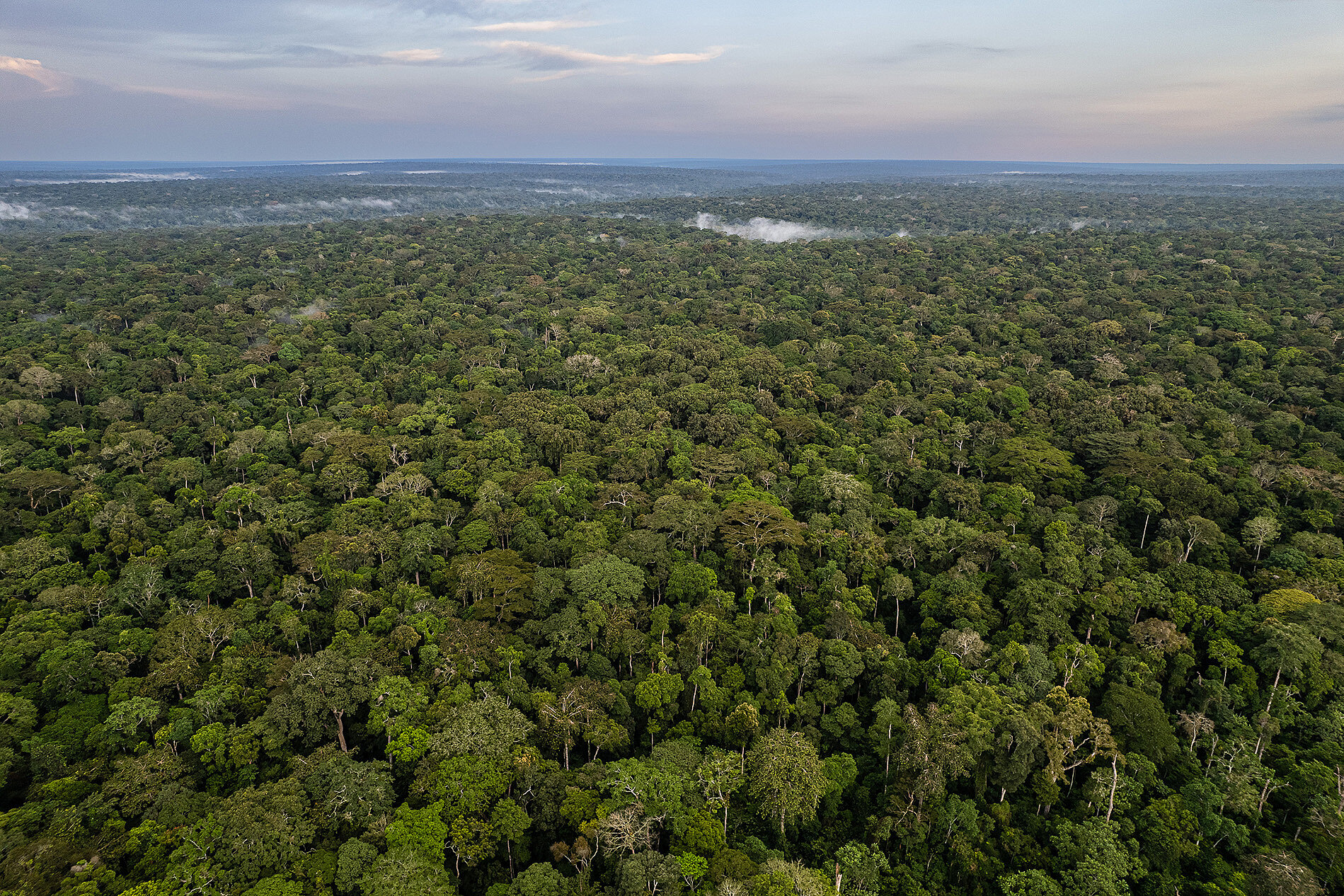 Dzanga-Sangha-Schutzgebiete