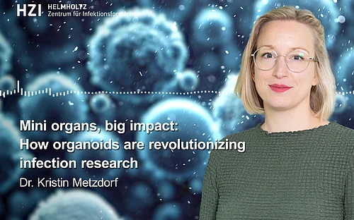 HZI Podcast: Mini organs, big impact: How organoids are revolutionizing infection research
