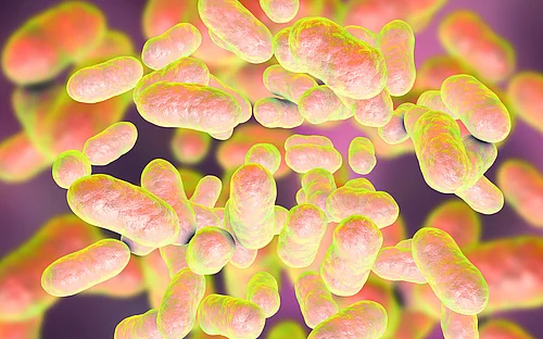 Mikrobiomforschung: Small RNA spielt Schlüsselrolle bei der Besiedelung