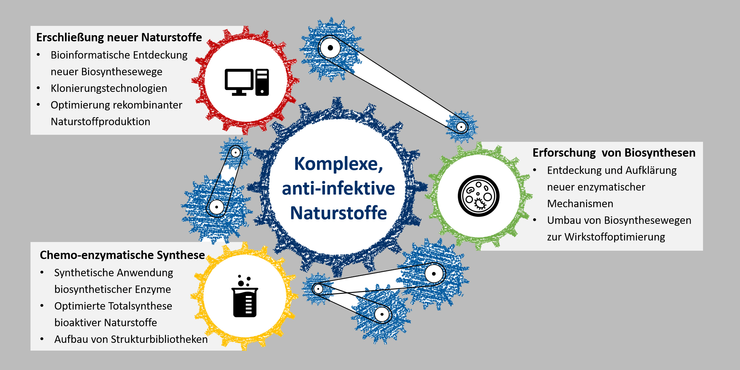 Forschungsprojekt Grafik