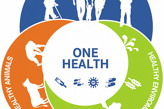 Schaubild One Health 