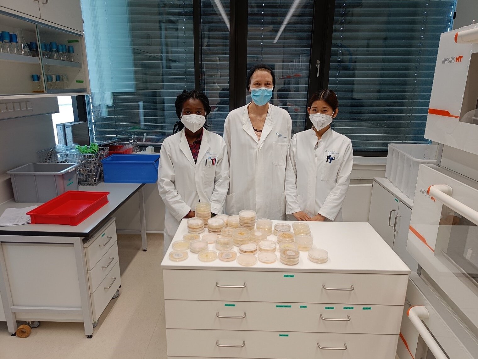 Drei Wissenschaftlerinnen im Labor