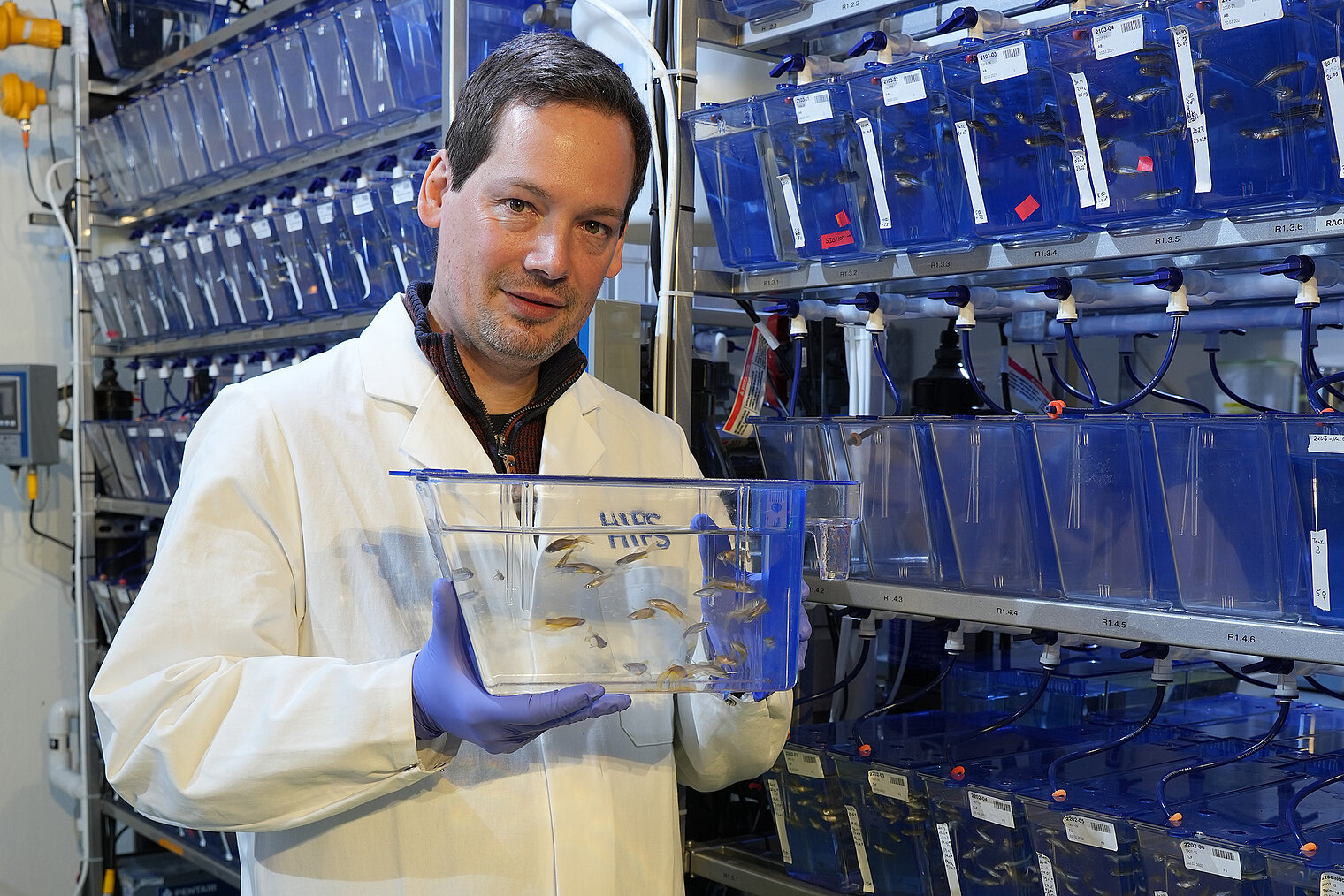 Scientist in the zebrafish facility