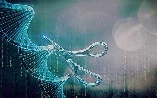 Neuzugang im CRISPR-Werkzeugkasten: Mit der Genschere RNA nachweisen