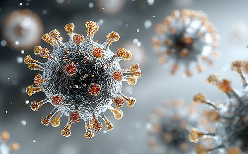 Model of the influenza virus