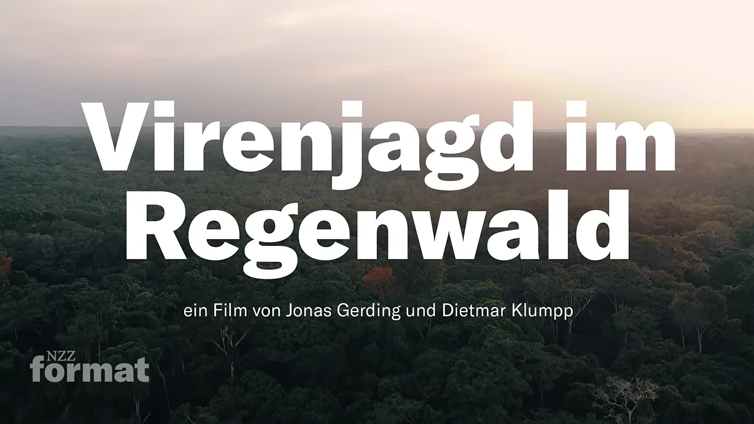 HIOH Virenjagd im Regenwald