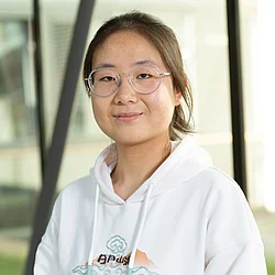 Mingming Zhao