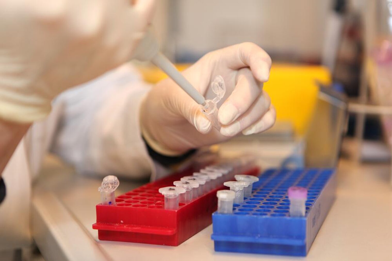Laboratory technician takes a sample.