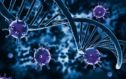 Begleiterkrankungen bei HIV: Big-Data-Studie bringt molekulare Zusammenhänge ans Licht