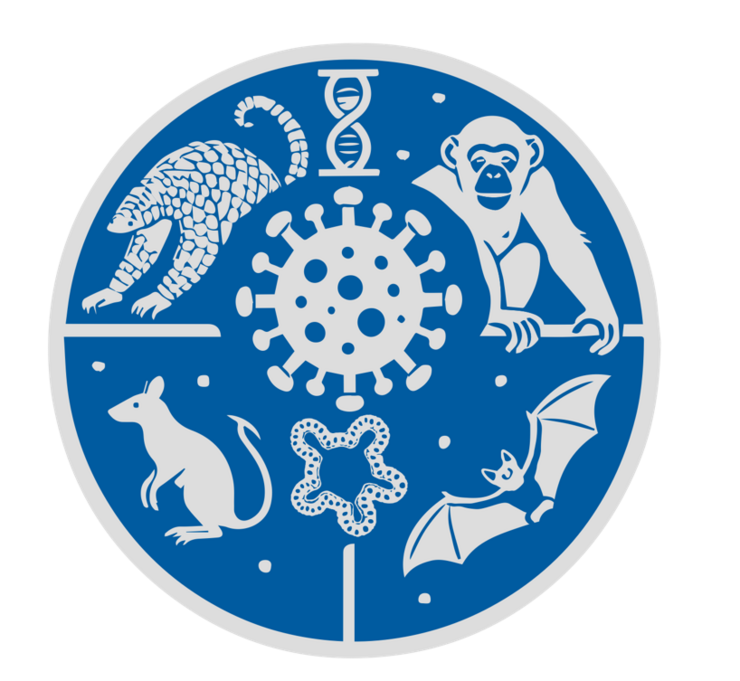 Logo der Nachwuchsgruppe VICO 