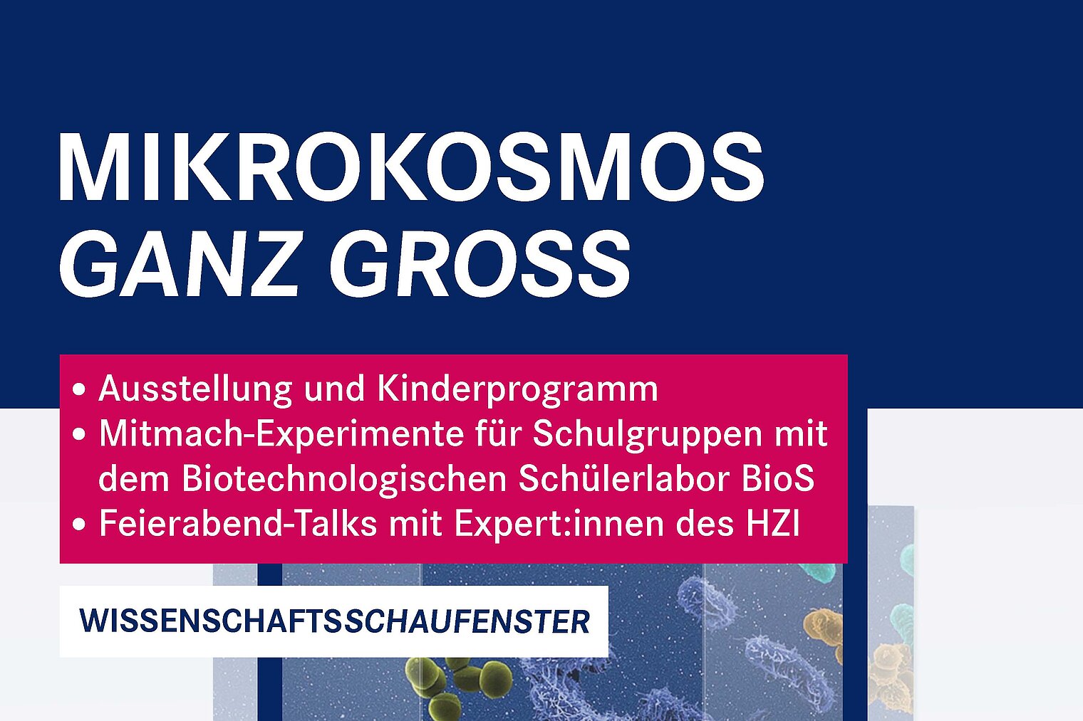 Poster for the HZI in the Science Showcase from December 3-17; topic: "Mikrokosmos ganz groß"