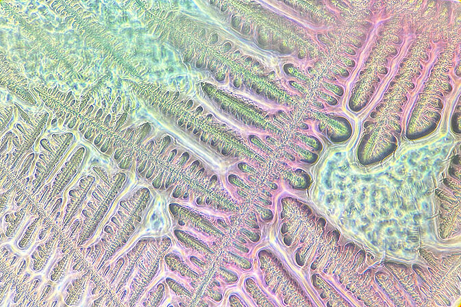 [Translate to English:] Getrocknetes Salz und Mukus in Atemflüssigkeit