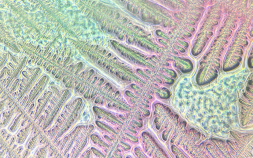 [Translate to English:] Getrocknetes Salz und Mukus in Atemflüssigkeit