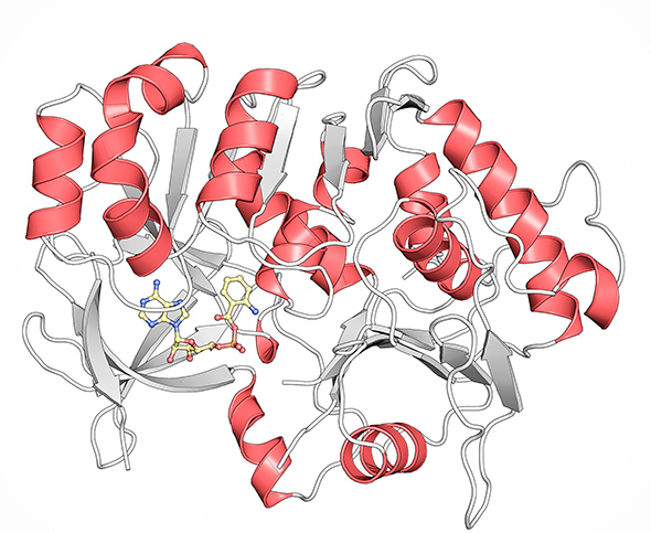 Kristallstruktur des Proteins PqsA 