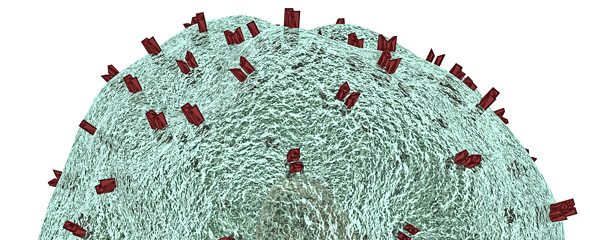 Grafisches Modell einer T-Zelle