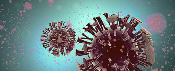 grafische Darstellung Virus