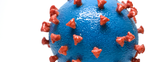 3D-Modell des Coronavirus SARS-CoV-2. 