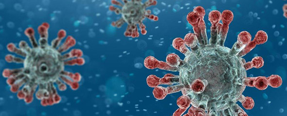 3D-Darstellung von Coronavirus-Partikeln