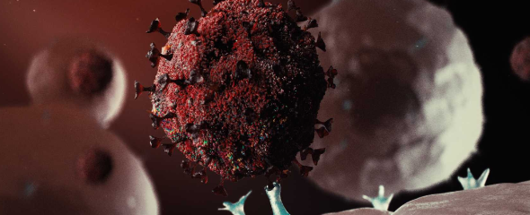 Illustration des Coronavirus SARS-CoV-2. 