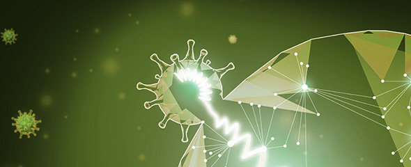 Grafik Virus