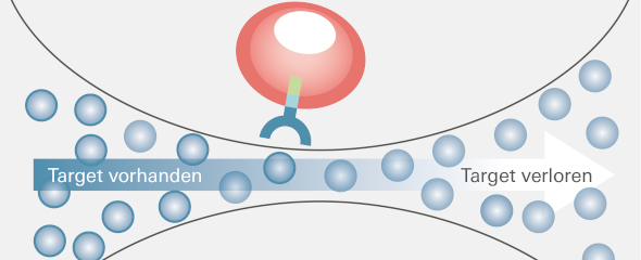 Grafik Myelom-Zellen mit BCMA-Expression 