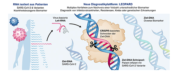 Diagnostiktechnologie LEOPARD