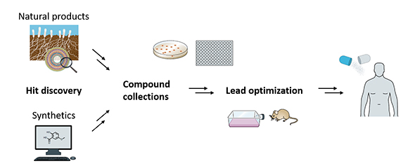 Konzept für die nachhaltige Entdeckung und Entwicklung neuer Antibiotika